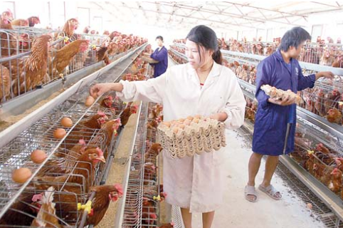 山西晋城市开展畜禽养殖污染防治禁养区和限养区划定工作