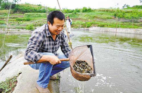 婉拒50万元年薪工资，新农人大山里养殖泥鳅创造财富