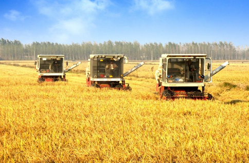 甘肃省六举措推进确保农业现代化稳步进展