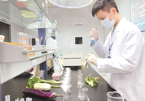 深圳市食药局公布110家市民免费快速检测蔬菜受理点