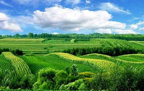 内蒙古多伦县大力发展“农业+旅游”，户均增收3.5万元