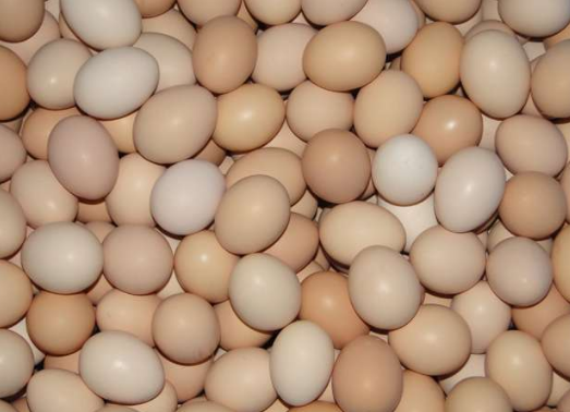 现在鸡蛋多少钱一斤