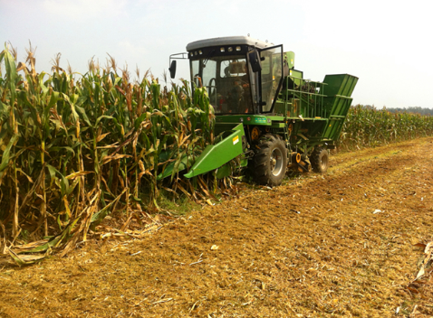 截至10月24日法国玉米收割完成60%