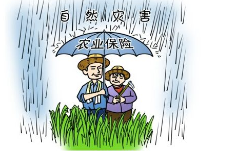 贵州镇远县拨付农业保险保费补贴资金284.92万元