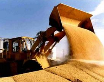 吉林省2016年粮食收购数量持续增加，累计收购新粮70.1亿斤