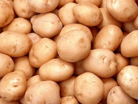 贵州：金沙县五龙街道为农户免费发放25万斤马铃薯种助力脱贫