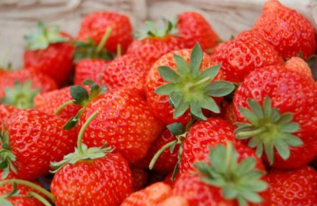 现在草莓多少钱一斤
