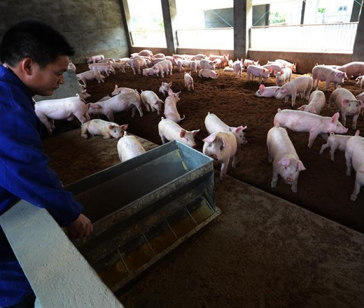 广东清远：龙颈镇拆迁26个畜禽污染养殖场，发放补贴资金268.85万元