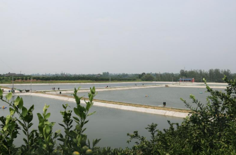 福建：“十三五”期间将建设18万亩水产养殖标准示范区