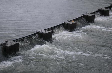 广东佛山：开闸放水损失2万多斤鱼，养殖户将管理部门告上法庭