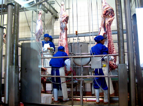 湖北：十堰最大肉牛屠宰加工基地正式投产