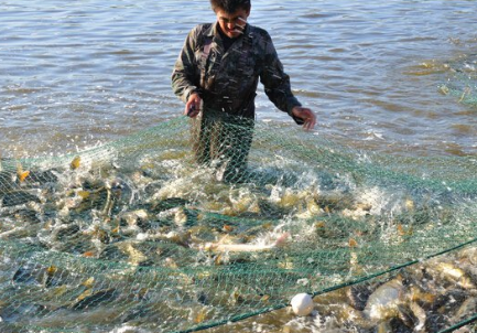 山西肥城渔业养殖污染防控取得显著效果