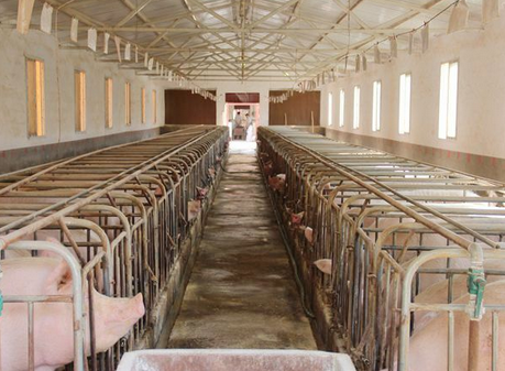 甘肃庄浪县六个市级畜禽养殖标准化示范场通过验收