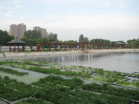 重庆忠县：国家三峡鱼生态养殖项目顺利通过验收