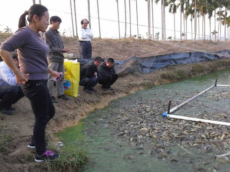 陕西汉中市渔业养殖专家至横山县指导泥鳅养殖工作