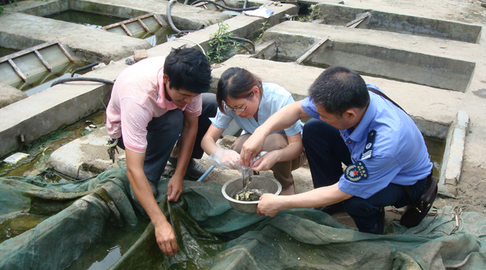 江苏在扬州召开水产苗种产地检疫工作座谈会