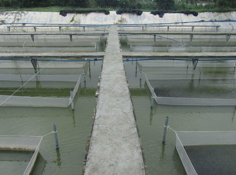 2016年9月陕西省水产养殖易发生的疾病，你了解多少？