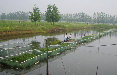 云南景洪市2016年新型职业农民培育水产养殖培训班正式开班