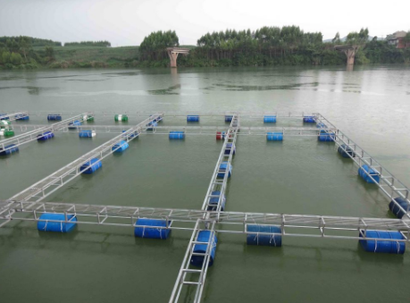 浙江衢州市柯城区成功签订首张水产养殖互助保险