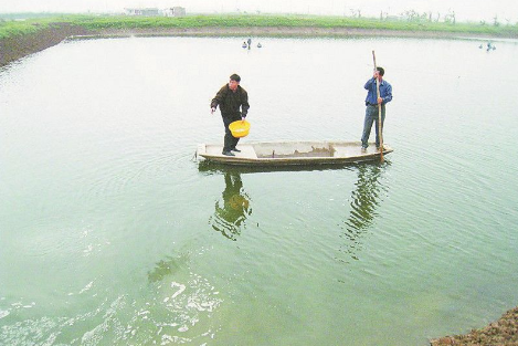 江苏滨海县举办水产养殖安全用药技术培训班
