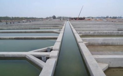 2016年10月份湖北省水产养殖病害预测预报