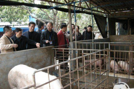 湖南澧县开启养殖环境整治专项行动