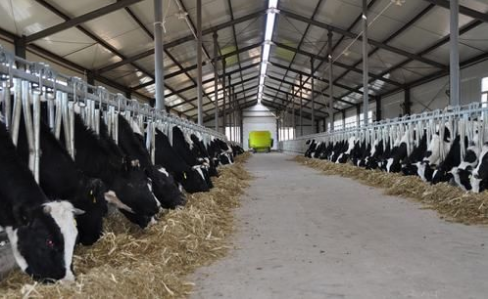 奶牛养殖扶贫保险项目成功落地西藏察雅县