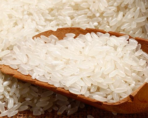 稻花香大米价格多少钱一斤?2018年稻花香大米价格怎么样?