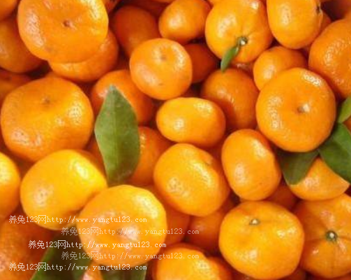 新余蜜橘价格多少钱一斤?2018年价格会上涨吗?